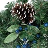 Northlight Mixed Pine and Blueberries Artificial Christmas Teardrop Swag - 28" - Unlit - 4 of 4