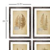 Plum & Post Framed Vintage Fern Prints, Set Of 8 - 2 of 4