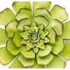 Metal Wall Succulent Green - Ultimate Innovations - 2 of 3