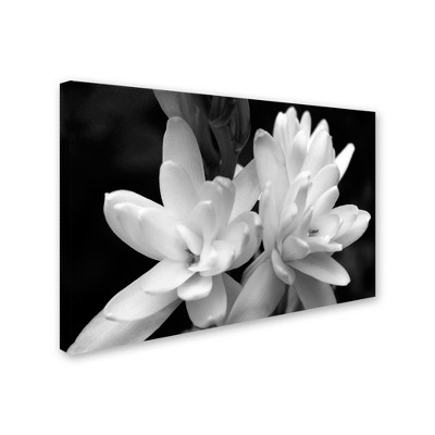 Trademark Fine Art - Kurt Shaffer 'Tuber Rose in Black and White' Matted Framed Art