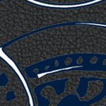 penn state nittany lions