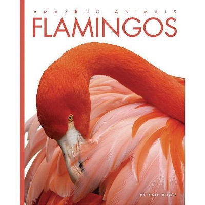 Amazing Animals: Flamingos - by  Kate Riggs (Paperback)