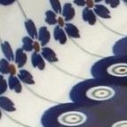 flowering peacock
