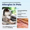 Vetnique Dermabliss Dog Skin Infection Spray - 8 fl oz - 4 of 4