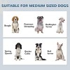 INFURNIC Pet Bowl Feeding Station with Hidden Bowls Storage Cabinet Adjustable Panel for Medium Dogs, Black, 23.6"*13.8"*31.5" - 3 of 4