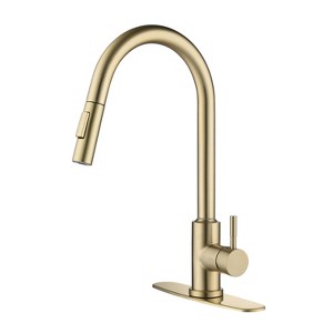 Chery Life Kitchen Faucet with Pull Down Sprayer, Gold - 1 of 4