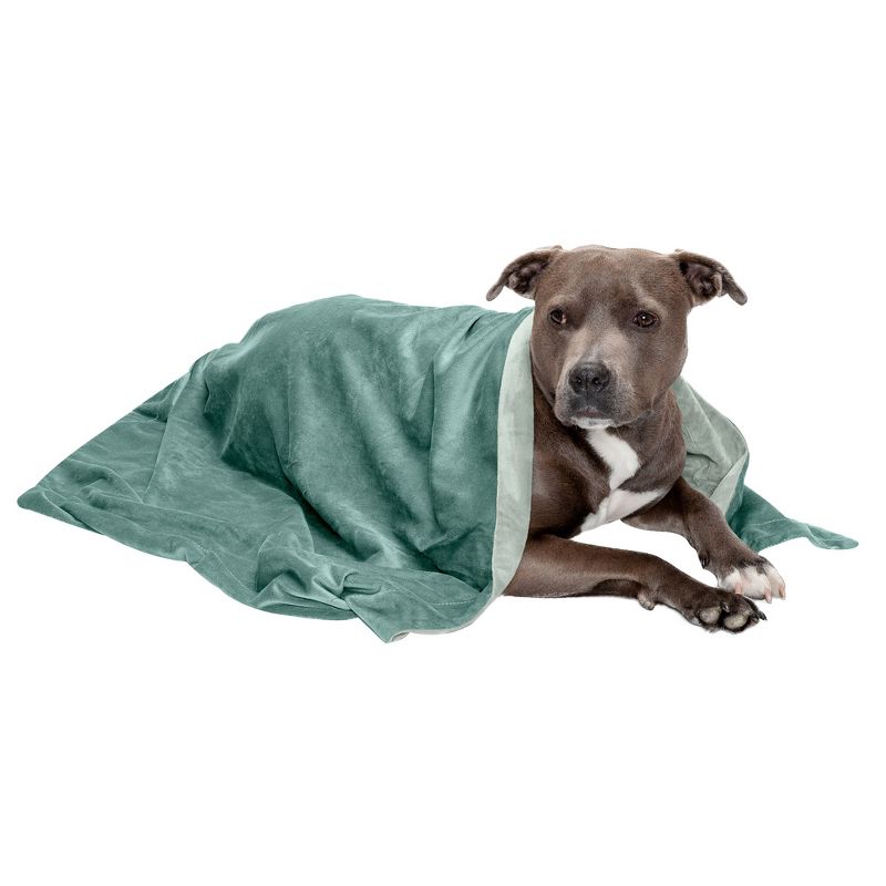 FurHaven Waterproof Velvet Pet Throw Blanket for Dogs & Cats, 1 of 4