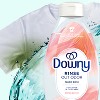 Downy Rinse and Refresh - Spring Breeze - Rinse Out Odors - 48 fl oz - 2 of 4
