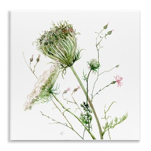 Stupell Industries Blooming Queen Anne's Lace Wildflower Watercolor Painting, 12" x 12" - 1 of 4
