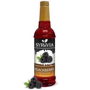 Syruvia Blackberry Syrup - 25.4 fl oz. Premium Flavoring Syrup - 1 of 4