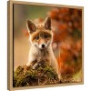 Amanti Art Fox by Robert Adamec Canvas Wall Art Print Framed 16-in. x 16-in. - 3 of 4
