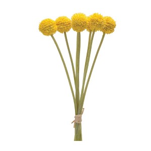 Melrose Pod Bundle (Set of 6) - 1 of 3
