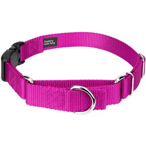 Country Brook Petz Heavy Duty Nylon Martingale Dog Collar with Deluxe Buckle - 30+ Vibrant Color Options - 1 of 4