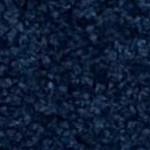 navy/ivory