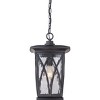 Grover 1-Light Mystic Black Outdoor Hanging Lantern - 3 of 4