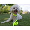 Country Brook Petz Deluxe Nylon Dog Collar and Leash - 3 of 4