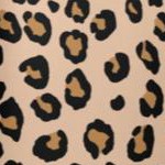 classic leopard