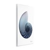 Stupell Industries Contemporary Nautilus Shell, 10" x 15" - 3 of 4