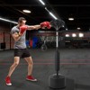 Boxing Speed Trainer, Freestanding Punching Bag with 360¡ã Spinning Bar - Reflex Balls & Gloves, Height Adjustable (Teens/Adults) - 2 of 4
