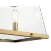 Darton 40.75" 5 Light Linear Chandelier with Clear Glass in Brushed Natural Brass - 3 of 4