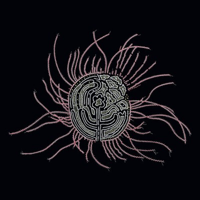 Ka Baird - Bearings: Soundtracks for the Bardos' (Vinyl)