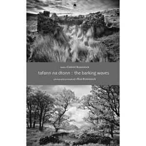 The Barking Waves / Tafann Na Dtonn - by  Gabriel Rosenstock (Paperback) - 1 of 1
