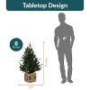 Sunnydaze Pre-Lit Farmhouse Artificial Fir Christmas Tree with Base - 50 Battery-Operated LED Lights - 3-Foot - 4 of 4