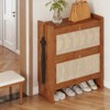YIYIBYUS Rattan Shoe Cabinet with 2 Flip Doors, Entrance Free Standing Shoe Rack - 2 of 4