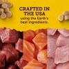 Zukes Puppy Naturals Soft Chews with Vitamins & Minerals Salmon Flavor Training Dog Treats - 5oz - 4 of 4