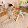 B. toys Triangle Wooden Dome Climber - 4 of 4
