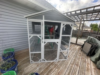Guest review image 1 of 1, zoom in