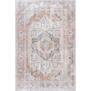 Baltimore BAL854 Machine Washable Power Loomed Indoor Rugs - Safavieh - 1 of 4