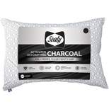 Sealy Jumbo Charcoal Infused Bed Pillow