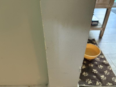 Guest review image 4 of 4, zoom in