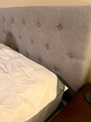 Guest review image 1 of 1, zoom in