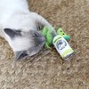 Quirky Kitty hard Seltzpurr Cat Toy - 2pk - 4 of 4