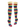 Striped Patterned Over the Knee Socks from the Sock Panda (Women's Sizes Adult Medium) - Rainbow - 3 of 3