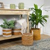 Northlight Set of 4 Striped Woven Seagrass Round Baskets with Handles 13.5" - 2 of 4