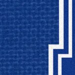 memphis tigers