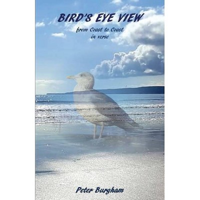 Bird's Eye View - by  Peter Burgham (Paperback)