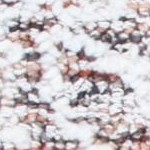 ivory/rust