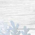 clear push pins bundle