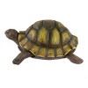 Nature Spring Outdoor Turtle Statue Figurine : Target