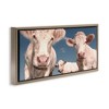 Stupell Industries Three White Cows, 25" x 11" - 3 of 4