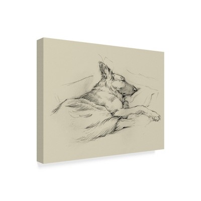 Trademark Fine Art -Ethan Harper 'Dog Days Iv' Canvas Art
