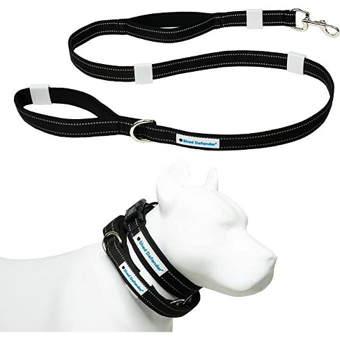 Magnetic dog lead best sale