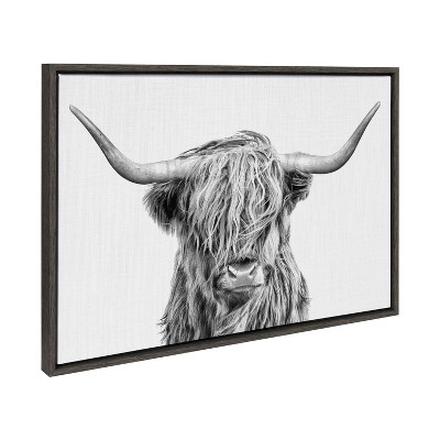 Quadro Stupell Industries Con Mucca Delle Highlands | Foto Di Joe Reynolds | Cornice Bianca 24x30 Cm | Pronto Da Appendere