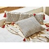 TAG 20'' x 20'' Laurel Pillow With Tassels Cotton Throw Pillow With Tassels Hidden Zipper Closure Insert Included Couch Sofa Bed Chair - image 2 of 2