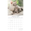 2026 Square Wall Calendar, Cavalier King Charles Spaniels, 16-Month Animals Theme with 180 Reminder Stickers (12x12 In) - 3 of 4