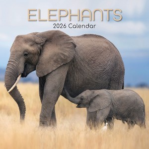 2026 Square Wall Calendar, Elephants, 16-Month Animals Theme with 180 Reminder Stickers (12x12 In) - 1 of 4